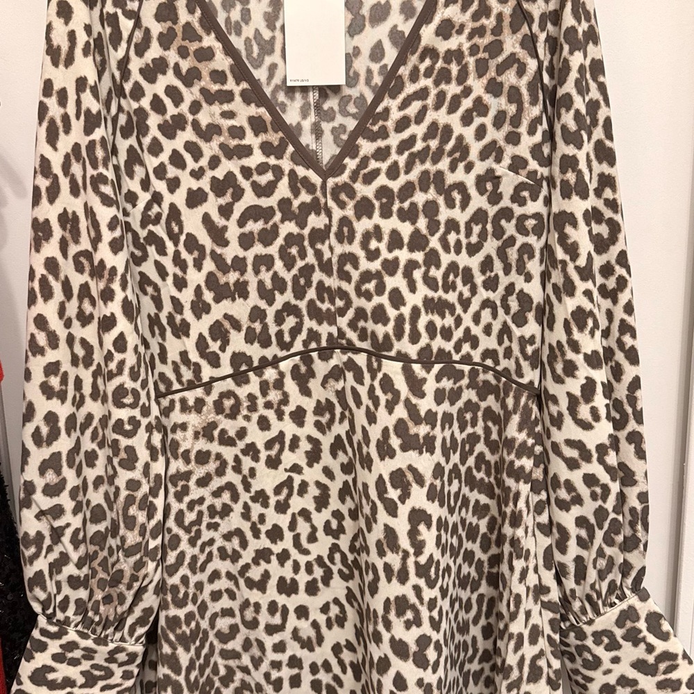H&M Leopard Print V-Neck Dress